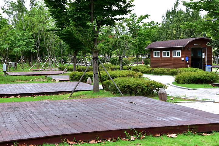 Gwangju Citizen's Forest Campsite