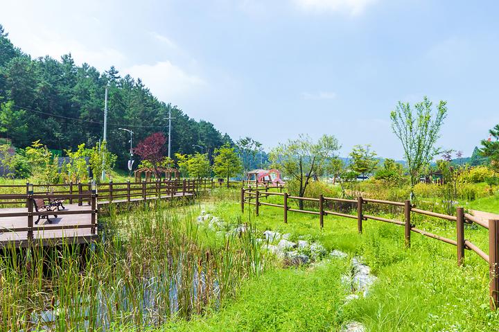 Cheongju Future Agricultural Theme Park Auto Camping Site