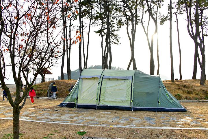 Woongcheon Riverside Park Campground