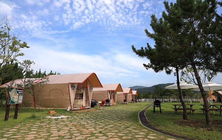 Gochang Mudflats Camping Site