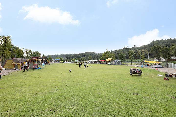 People and Dog Healing Campground