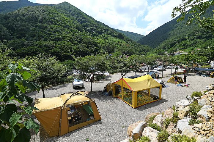 White Cloud Valley Camping Ground