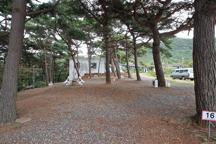 Daecheon Auto Camping Site