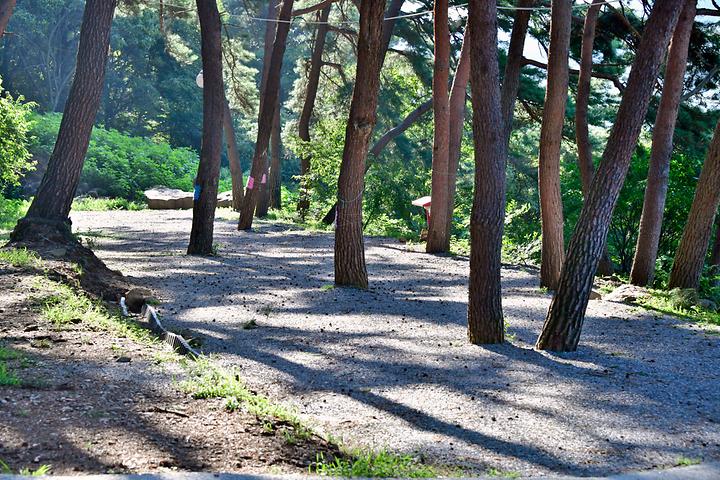 Island Camping Ground