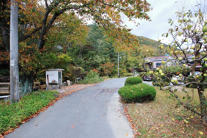 San-nae Comfortable Tourist Farm