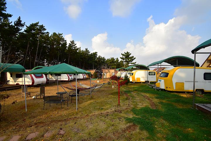 BuddyBuddy Camping Ground