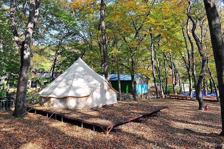 Forest Garden Campsite
