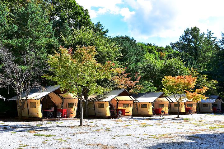 White Cloud Valley Campground