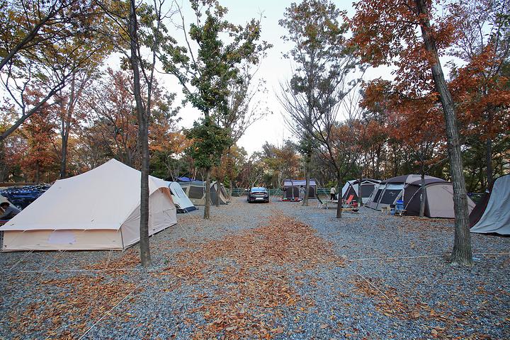 Moonbok Mountain Campsite