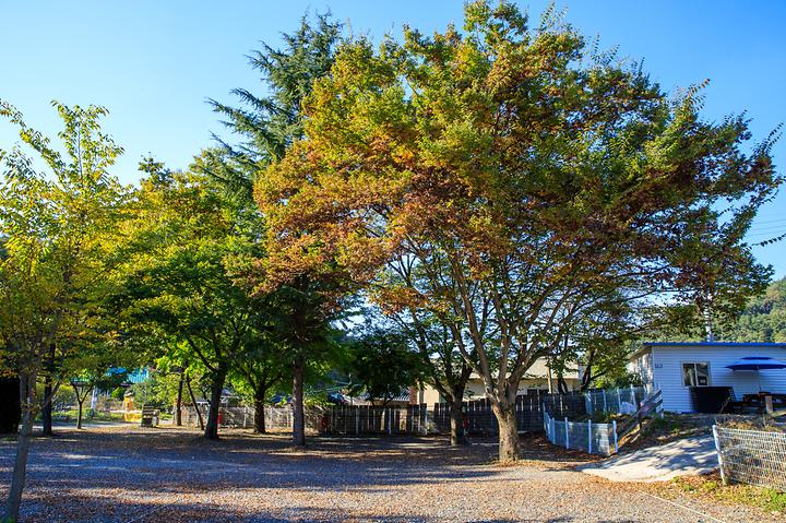 Camp-ing Camping Site