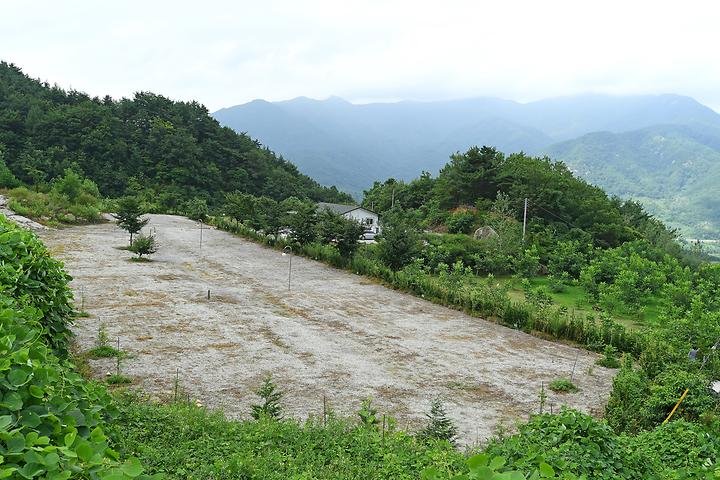 Mountain Love Campground