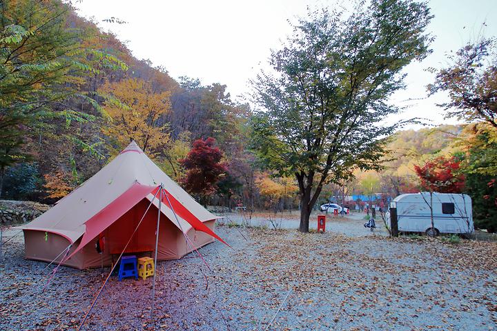 That's Camping: Hoengseong Natural Recreation Forest Campsite