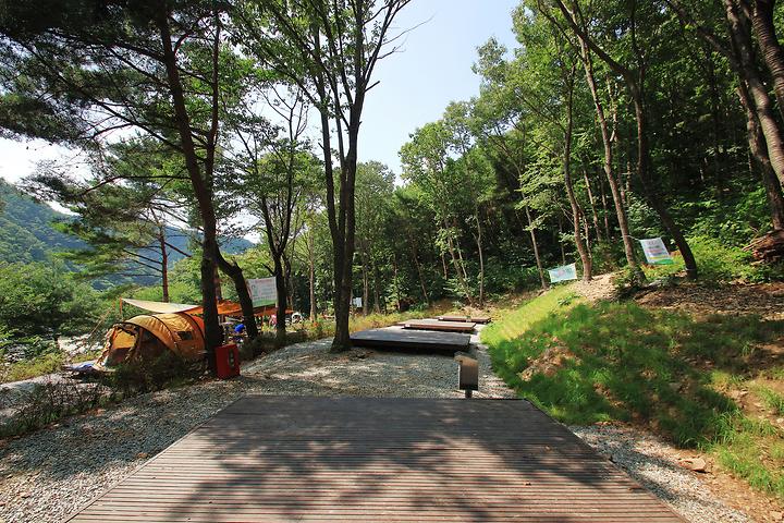 Yonghyeon Natural Recreation Forest Campsite