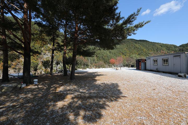 Wangpicheon Campsite
