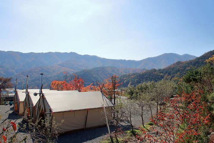 Apricot Tree Glamping & Pension