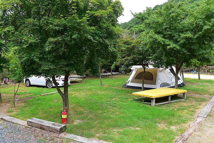 Fragrant Forest Auto Camping Ground Image