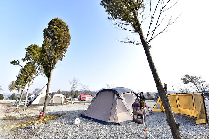 Yangdal Camping Ground