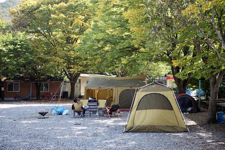 Vitamin Camping Ground