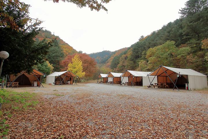 Kangchon Tourist Farm