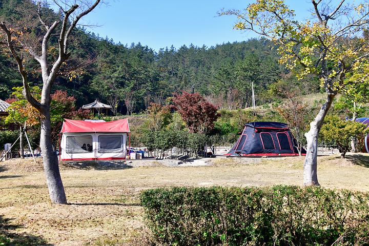 Jindo Scenery Auto Camping Site