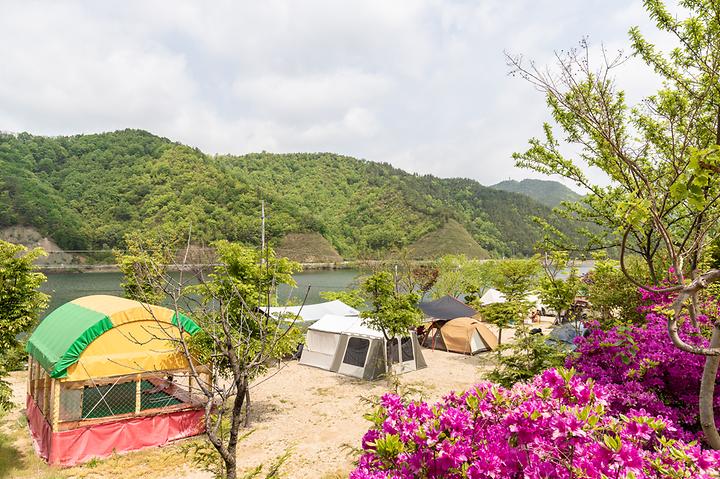 Chestnut Forest Campsite