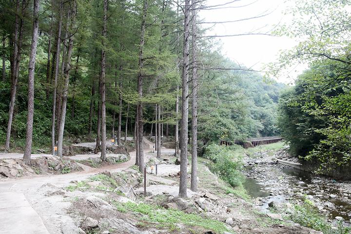 Family Resting Place Camping Site