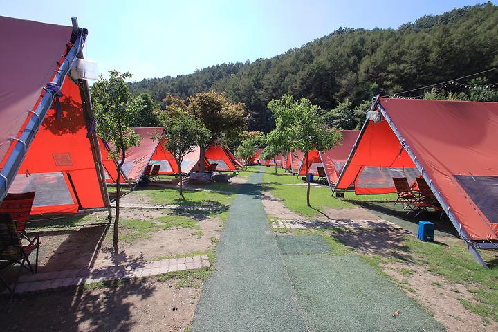 Green Forest Glamping