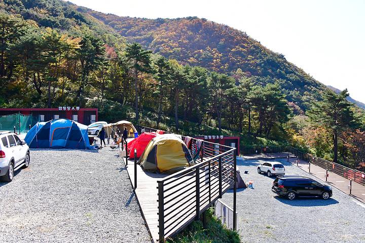 Starlight Village Camping Site