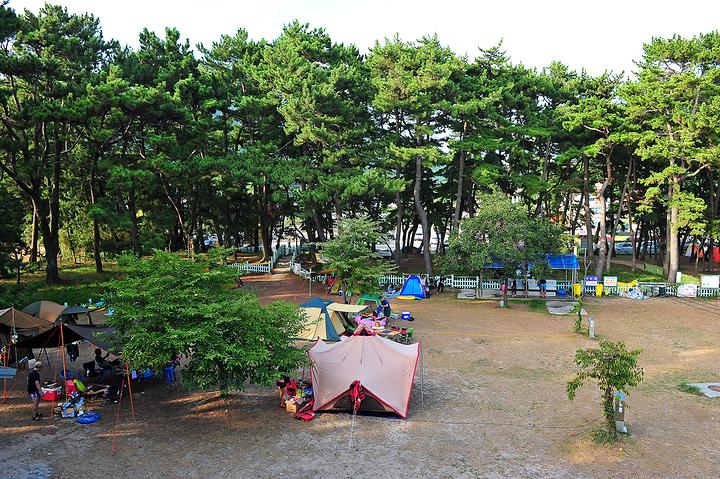 Pine Breeze Camping Ground