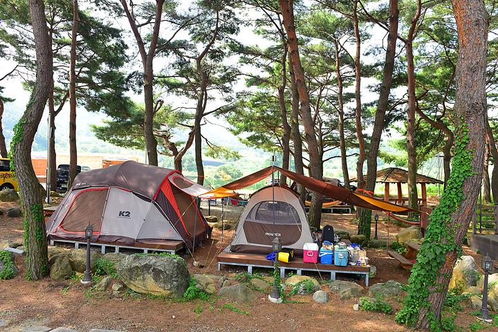 Muju Pine Forest Campground