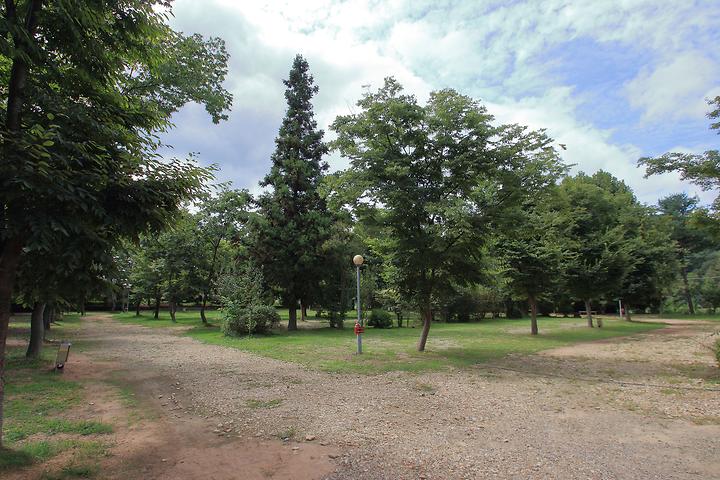 Sangju Umbrella Campground