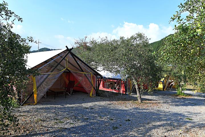 W Glamping Site