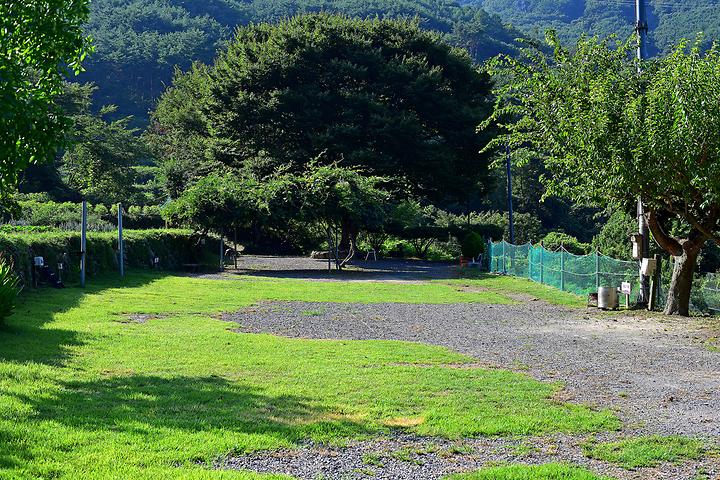 Bujesanbang Campsite