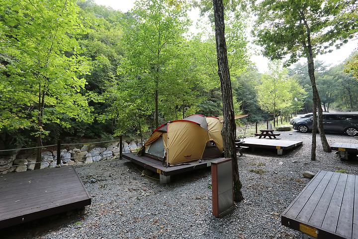 National Hwangjeongsan Natural Recreation Forest Campground