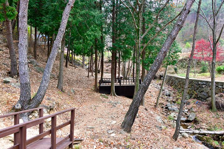 Suncheon National Leisure Campsite