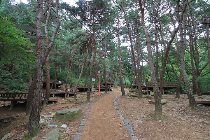 Songjeong Natural Recreation Forest