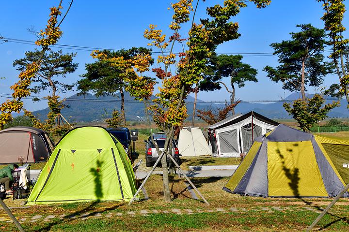 Forest Auto Camping Site