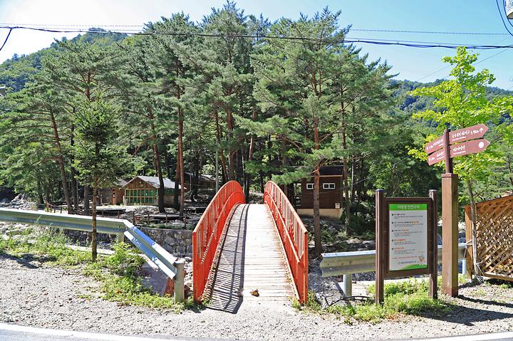 National Miceon Valley Natural Recreation Forest