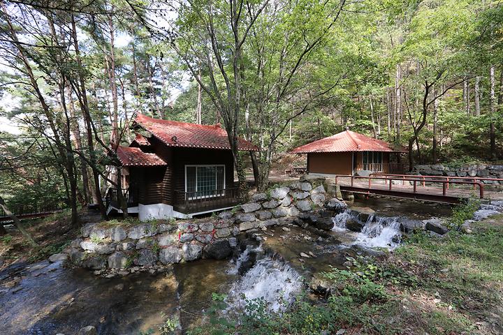 Hakga Mountain Natural Recreation Forest Campground