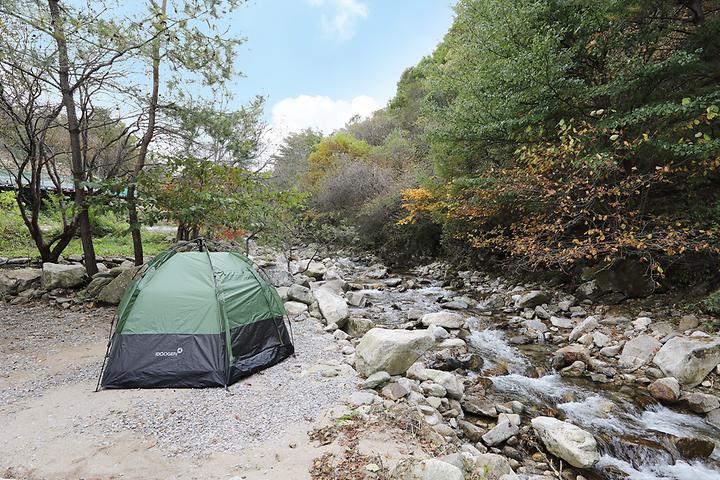 Under the Mountain Camping Ground