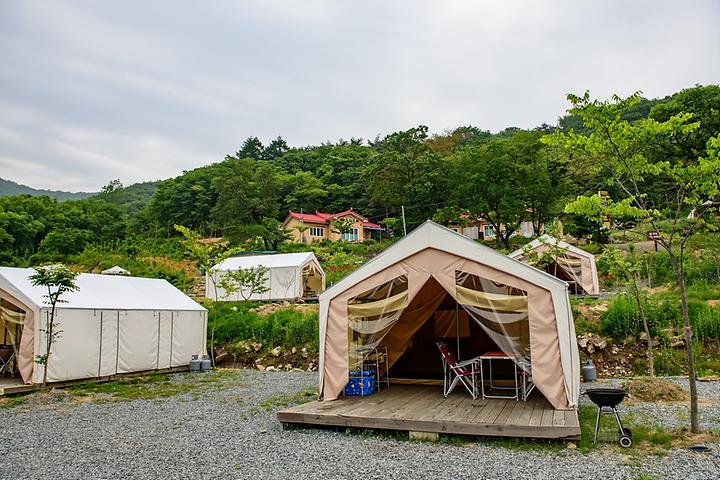 Gyeongju Healing Camp