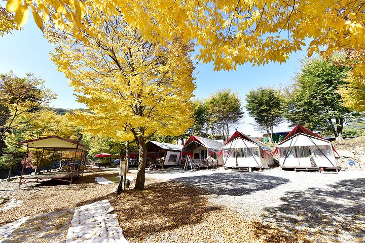 AlphaGo Glamping Site