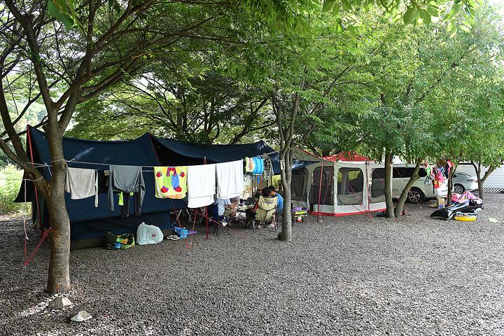 Ivy Campground