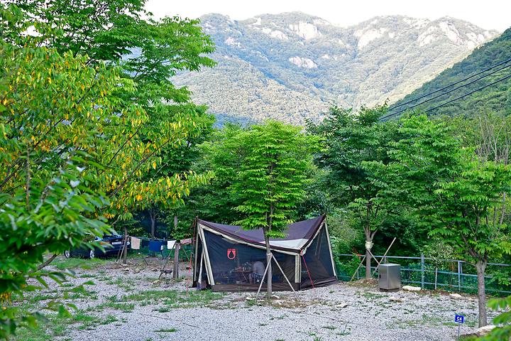 Art Garden Camping Site