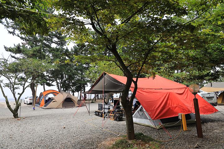 Daebudo Country Campsite