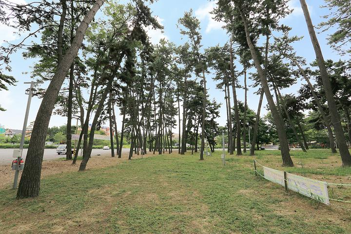 Seocheon Chunjangdae Campsite