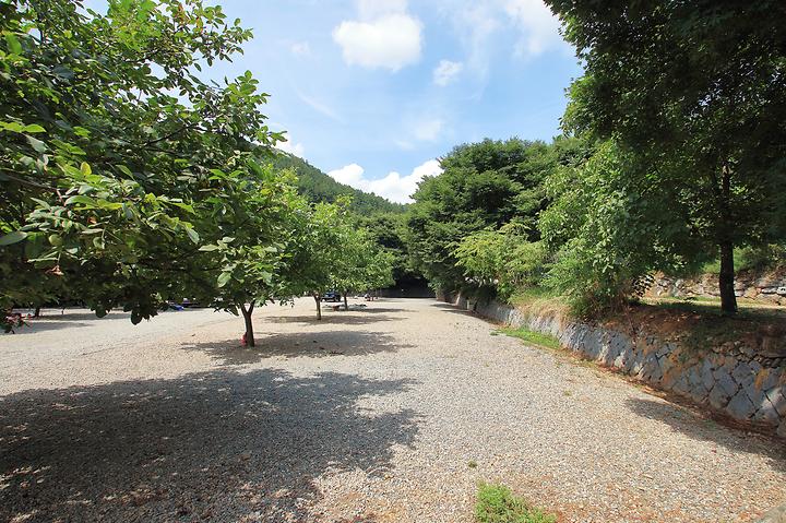 Walnut Tree Campsite