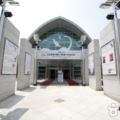 Goseong Dinosaur Museum