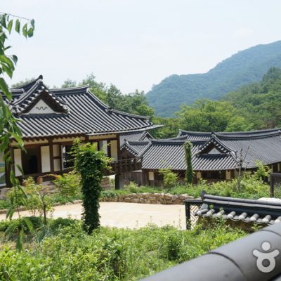 Suncheon Wild Tea House