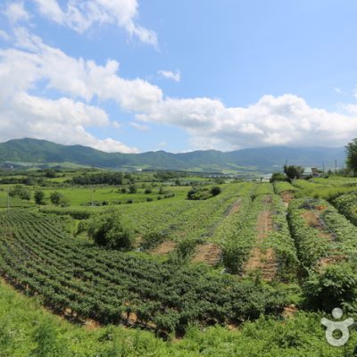 Yanggu Punch Bowl Village